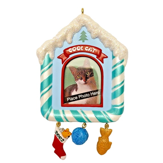 Special Cat Photo Holder Hallmark Keepsake Ornament 2002 QX2863 New