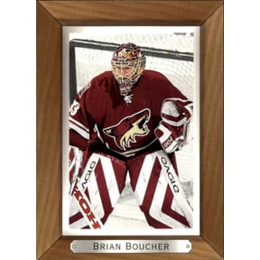2003-04 Upper Deck UD BeeHive Phoenix Coyotes Team Set No SP 6 Cards