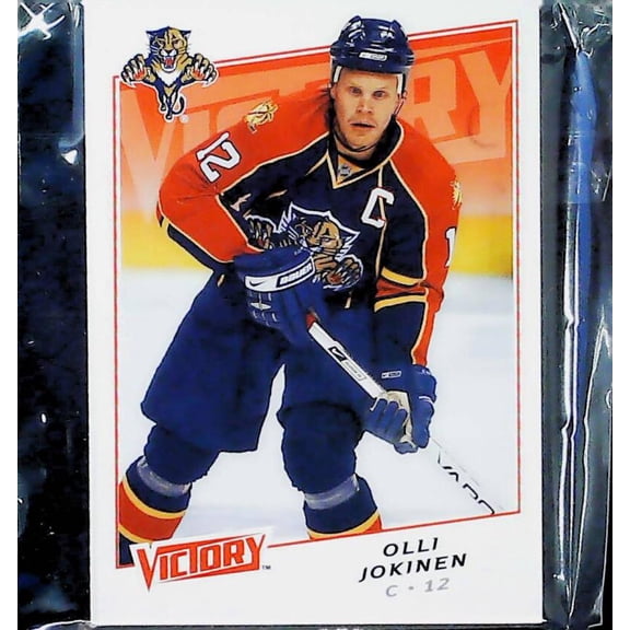 2008-09 UD Victory Florida Panthers Team Set MINT