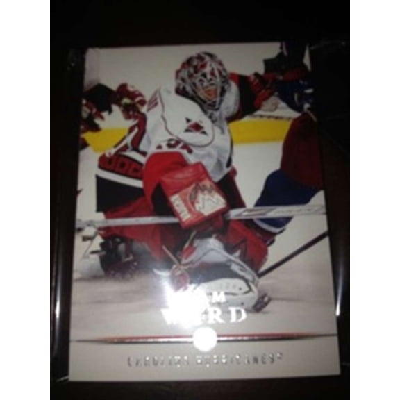 2008-09 Upper Deck Carolina Hurricanes Team Set MINT