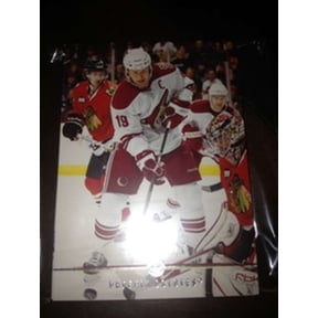 2008-09 Upper Deck Phoenix Coyotes Team Set MINT