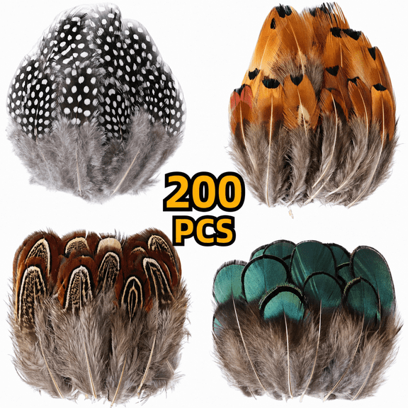 200PCS Assorted Feathers, 4 Styles Chicken Feathers for DIY Crafts Dream Catcher Carnival Costume Party Mask Decoration
