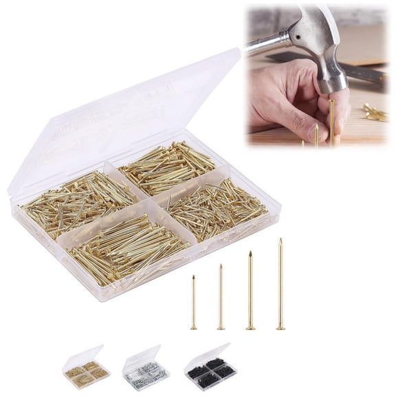200PCS Assorted Nails Kit, Small Nails for Hanging Pictures, Finishing Nails for Drywall