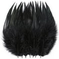 thumbnail image 1 of 200Pcs Craft Feathers Bulk 5-7inch Rooster Feathers for DIY Crafts, Dream Catcher and Holiday Party Costume Decorations (Black), 1 of 6