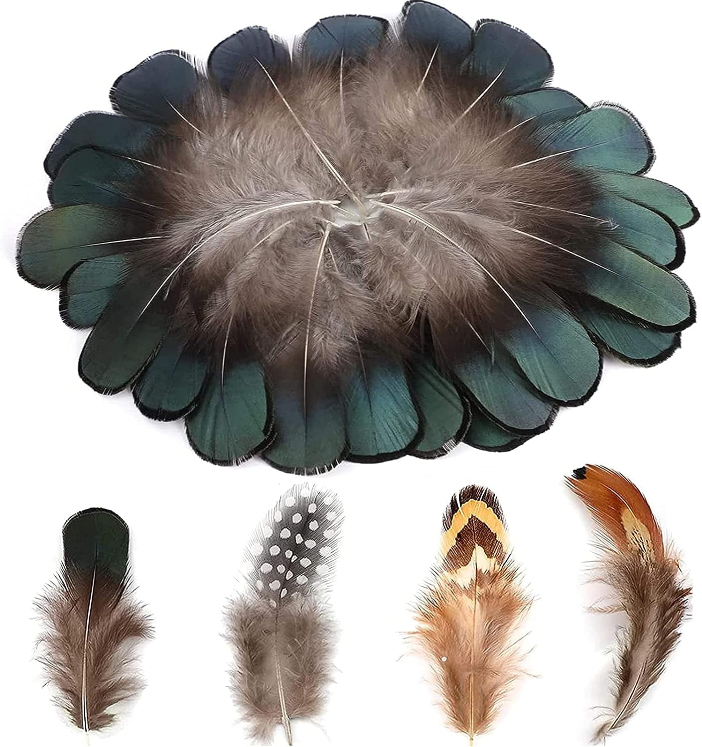 200Pcs DIY Crafts Feathers Assorted for Dream Catcher Carnival Party