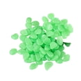 thumbnail image 1 of 200Pcs Luminous Garden Stones, Glow in The Dark Garden Pebbles,Rainbow Glow-in-the-Dark Stepping Stones,Stones Rocks for Yard and Walkways Decor (Green), 1 of 5