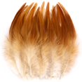 thumbnail image 1 of 200Pcs Natural Craft Feathers Bulk 5-7in Feathers for Jewelry Earrings Making Dream Catcher Crafting Home Party Hats Dress Decoration, 1 of 5