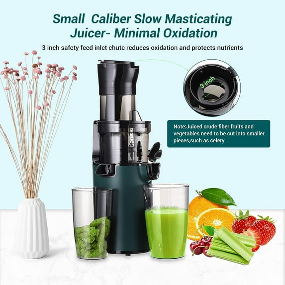 SOVIDER 200W Masticating Slow Juicer, Easy Clean, Cold Press Juicer for Citrus, Carrot, Pulp, Fruits, Vegetables