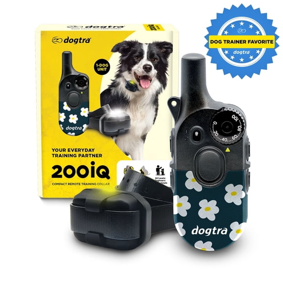 Dogtra 200iQ Remote Training E Collar - 100 Levels, 1/2 Mile Range, Waterproof - Flower Power