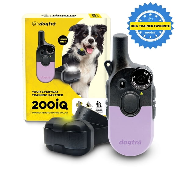 Dogtra 200iQ Remote Training E Collar - 100 Levels, 1/2 Mile Range, Waterproof - Lavender