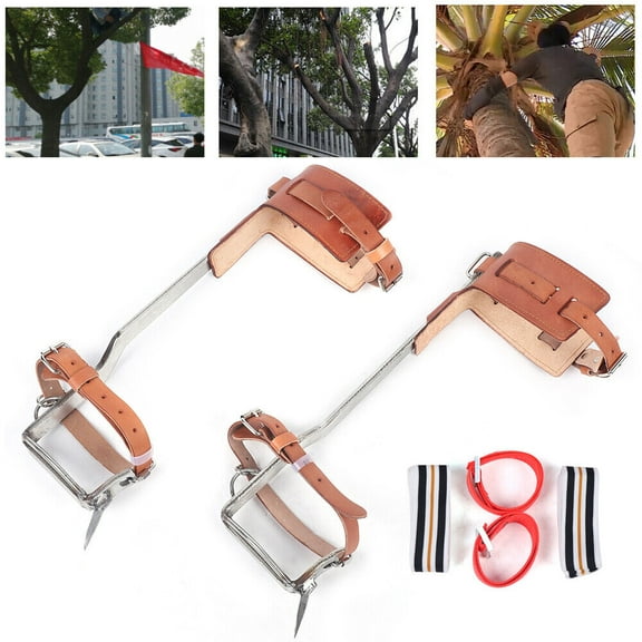 200kg Stainless Steel Tree Climbing Spikes Gaffs Spur Pair Set w/2x Ankle Strap