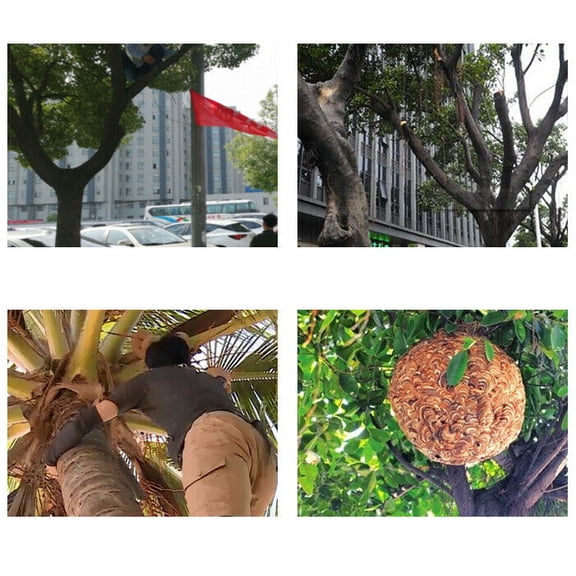 200kg Tree/Rock Climbing Spikes Gaffs Spur Gear 304 Stainless Steel Claw 1 Pair