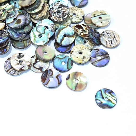 200pc Natural Paua Shell/Abalone Shell Beads Disc/Flat Round Heishi Beads 10x1mm Hole: 1mm