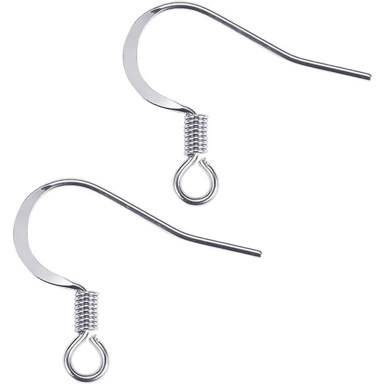 200pcs 304 Stainless Steel Earring Hooks/Fish Hooks/Ear Wire for DIY  Jewelry Making (Stainless Steel Color)