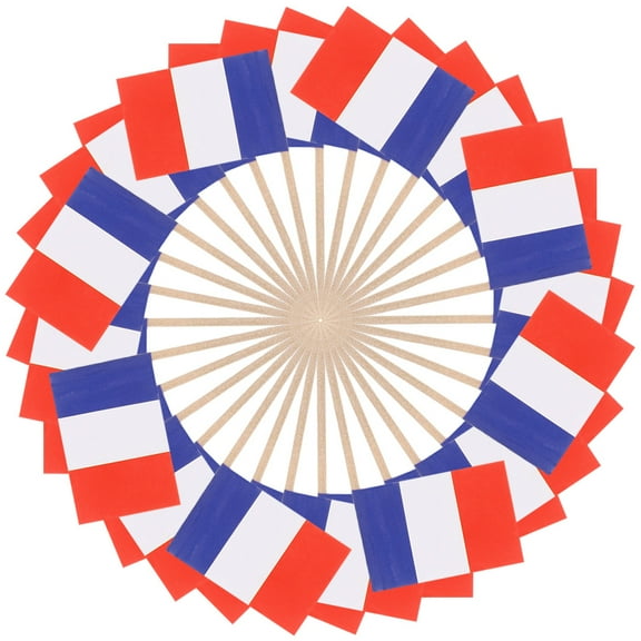 CRILSTYLEO Food Decoration Flags Topper 200Pcs 2.6x1.4in