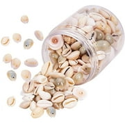 WEIYAN KJ 200pcs Mixed Ocean Sea Shells Natural Seashells Spiral Shell Beads for Fish Tank Home Decor Beach Theme Party Candle Making Wedding Decor DIY Crafts