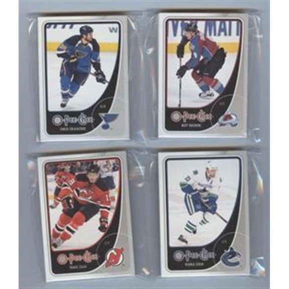 2010-11 O-Pee-Chee Detroit Red Wings Base Team Set 17 Cards