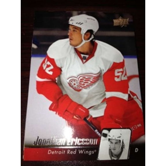 2010-11 Upper Deck Detroit Red Wings Team Set 14 Cards
