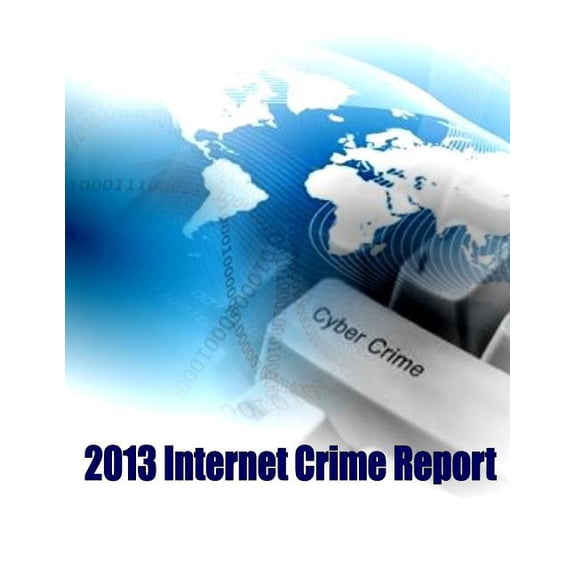 2013 Internet Crime Report (Paperback)