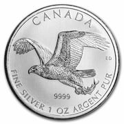 2014 RCM 1 oz Silver Birds of Prey Series Bald Eagle Spotted