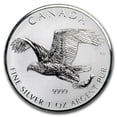 thumbnail image 1 of 2017 RCM 1 oz Silver Birds of Prey Series Bald Eagle Reverse Pf, 1 of 2
