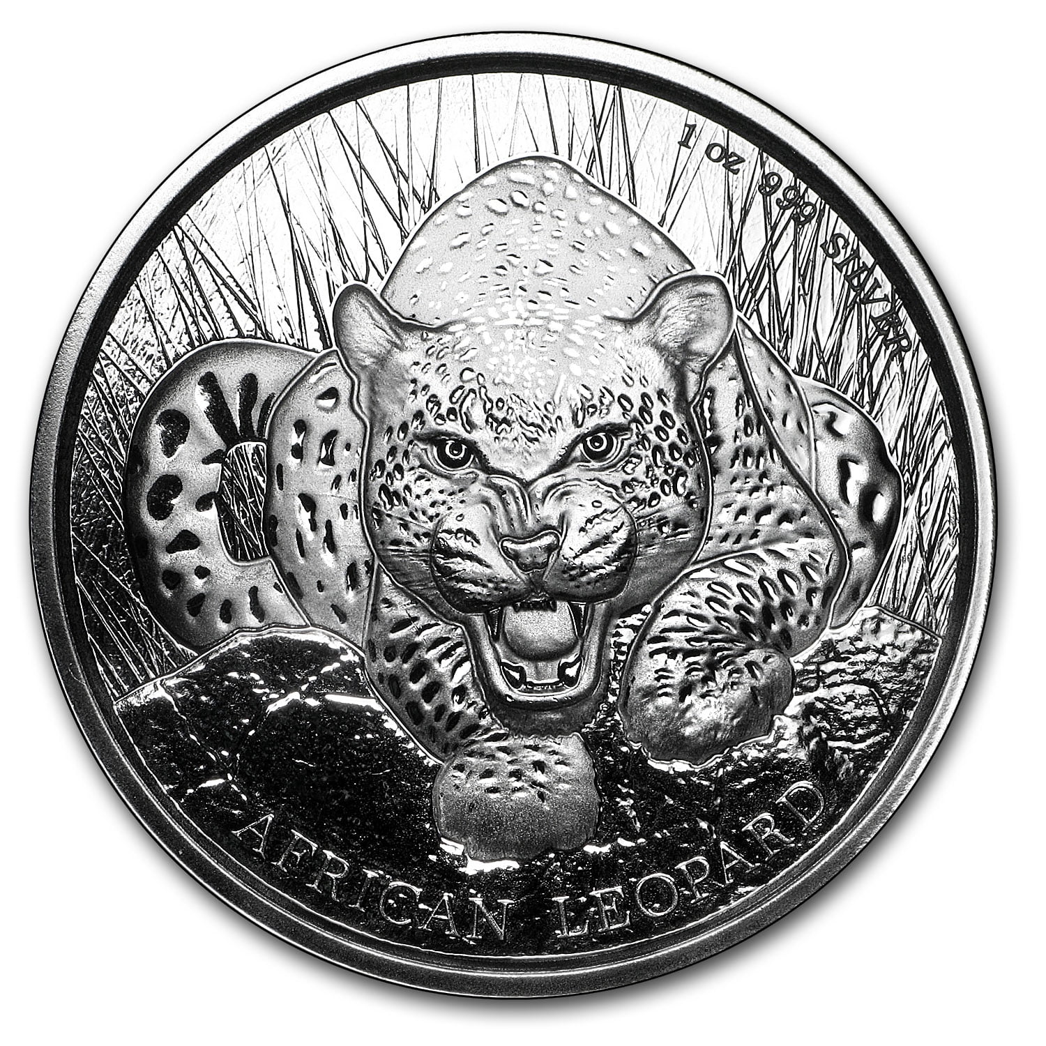 希少 ELDORESO Cheptegei Cap LEOPARD 2017 Republic of Ghana 1 oz Silver 100 Cedi African Leopard