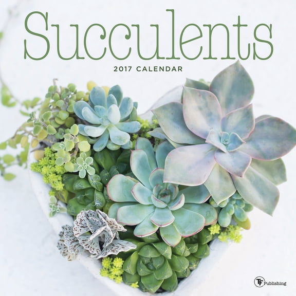 2017 Succulents Wall Calendar