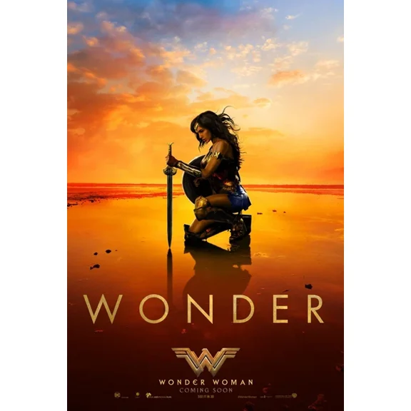 2017 Wonder Woman Movie Poster Gal Gadot Chris Pine Dc Comics UNFRAMED PAPER POSTER, Home Decor