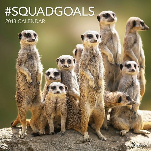 2018 #SquadGoals Wall Calendar