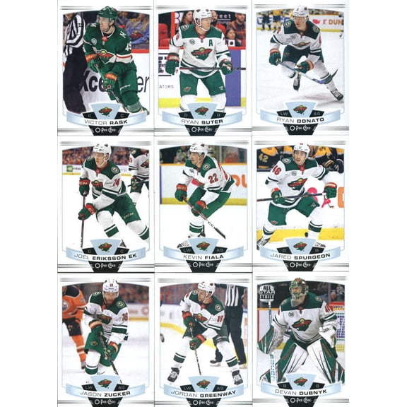 2019-20 O-Pee-Chee OPC (Made by Upper Deck) Base NHL Team Set Minnesota Wild Hockey Team Set