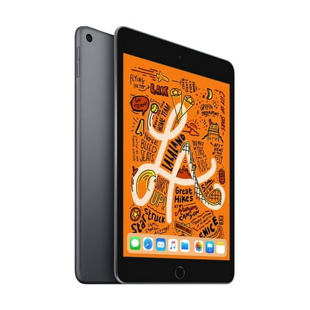 2019 Apple iPad Mini Wi-Fi 64GB - Space Gray (5th Generation)