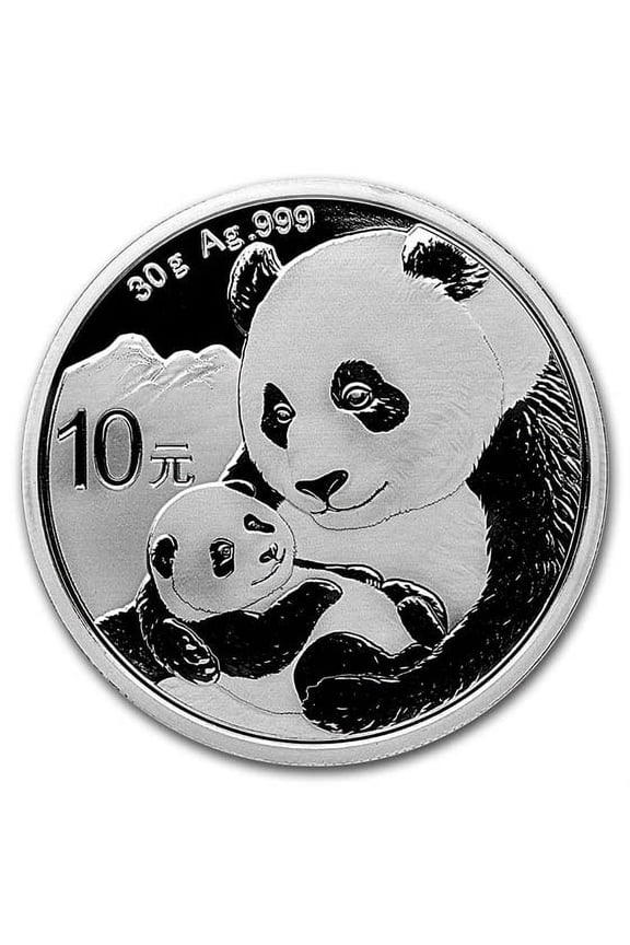 2019 China 30 gram Silver Panda BU (In Capsule)