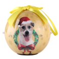 thumbnail image 1 of 2019 Christmas Ball Ornaments Annual Edition with lights, Glittering Christmas Tree Pendants Decorative Hanging Christmas Dog Collection Balls for Holiday Party Indoor Outdoor Decoration, 1 of 1
