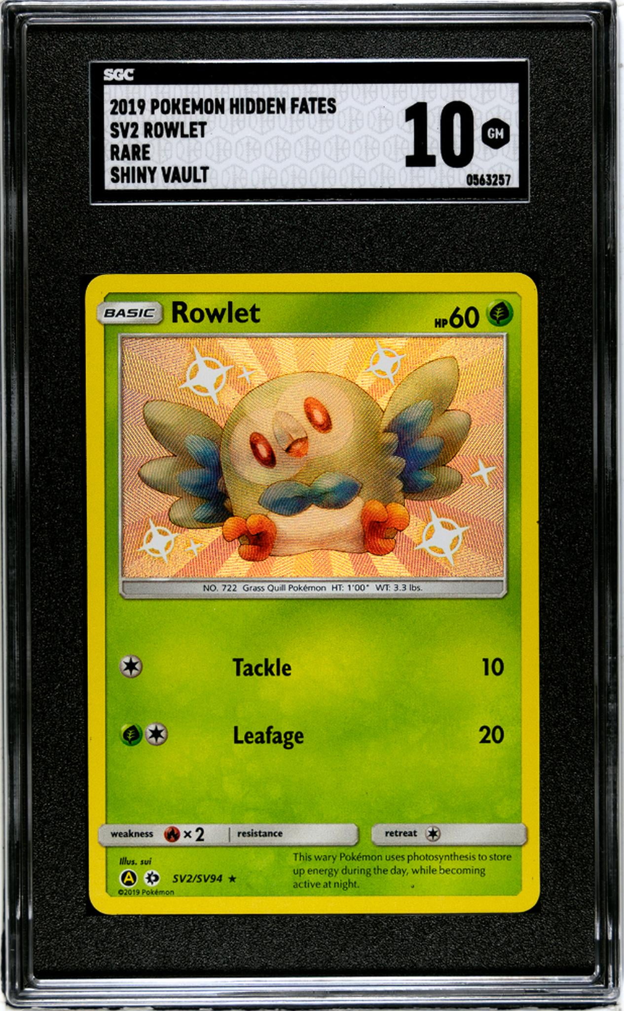 New Pokemon Cards 2019