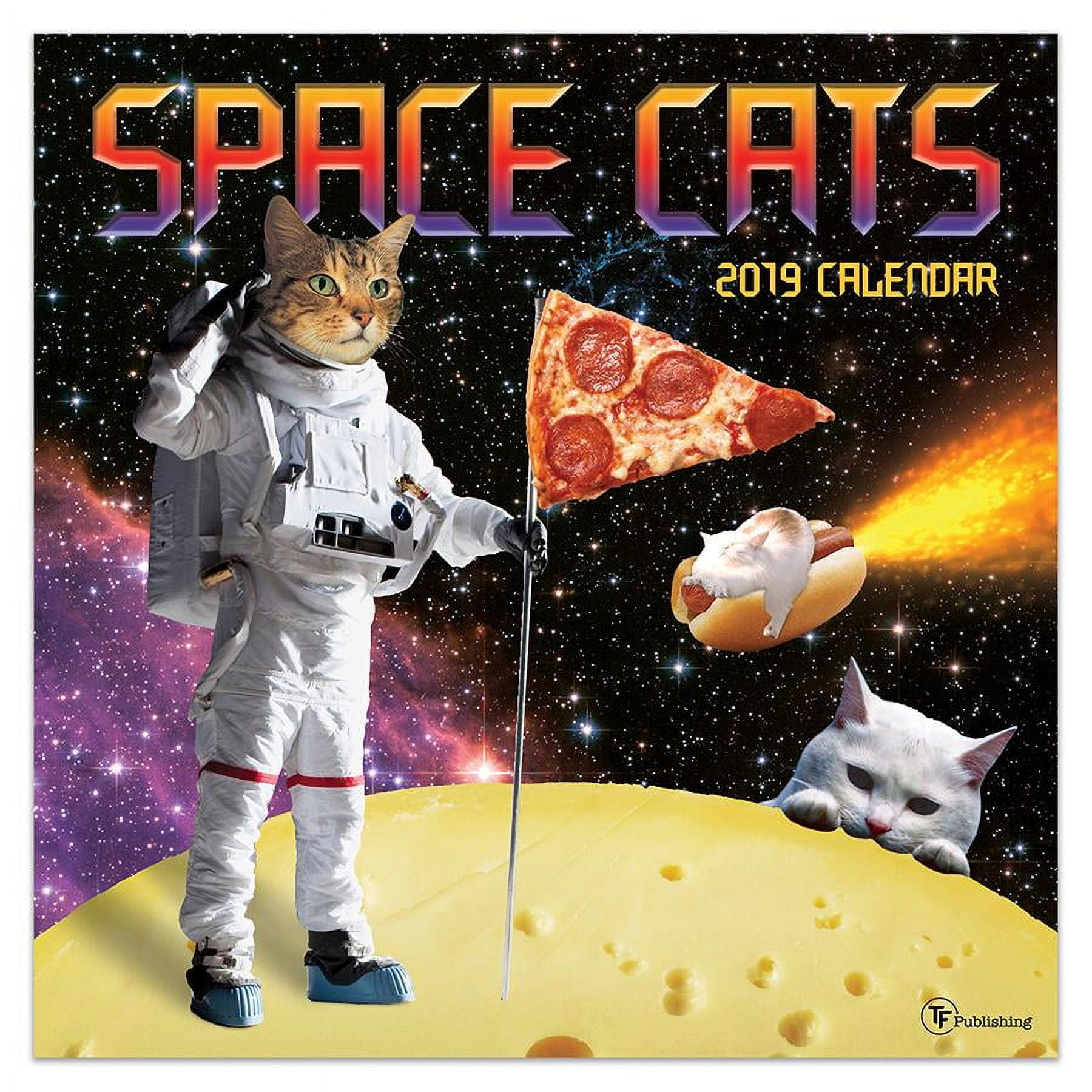 2019 Space Cats 12 2019 Space Cats 12