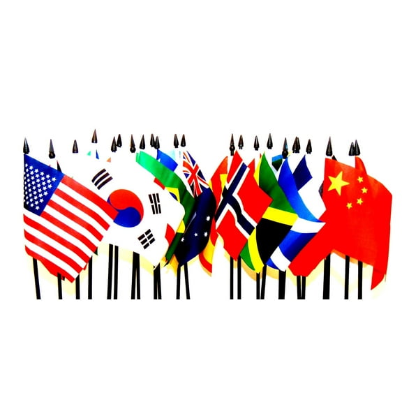 2019 WOMEN'S WORLD CUP SOCCER FLAGS - SET of 24 Polyester 4"x6" Flags, One Flag for Each Women's Team Competing For the Cup, 4x6 Miniature Desk & Table Flags, Small Mini Stick Flags