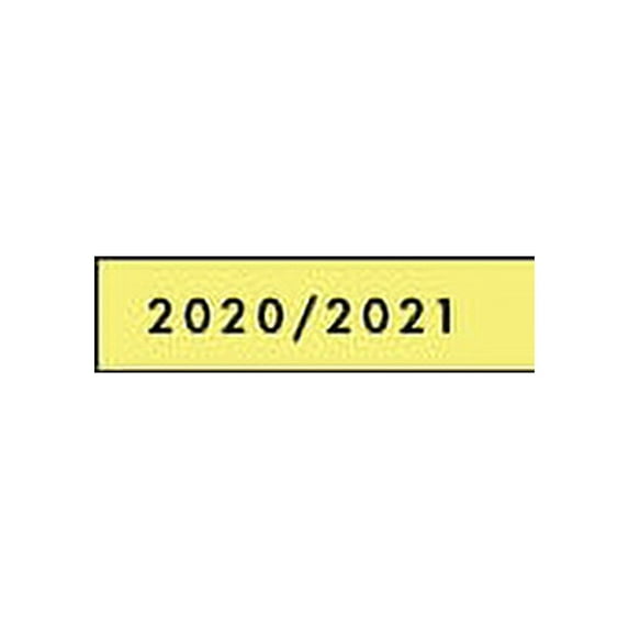 2020 2021 Daily Planner: 8.5" x 11" Large 2020/2021 Daily Planner, 2 Pages per Day, July 2020 to June 2021, 12 Month, Da