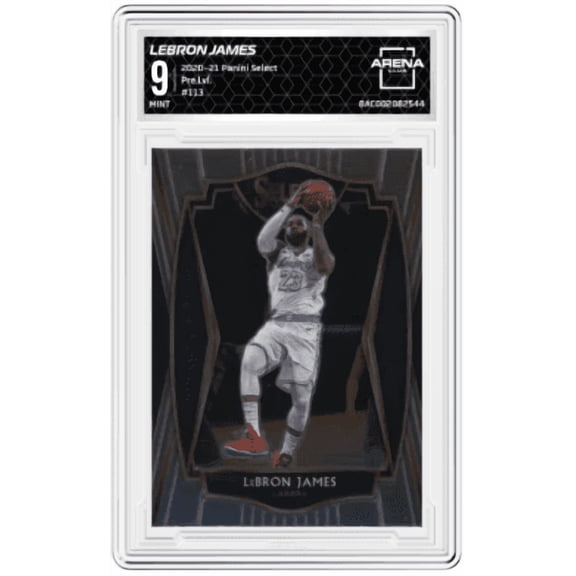 2020-21 Pannini Select LeBron James #113 Pre Level Arena Club 9