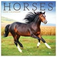 thumbnail image 1 of 2020 Horses Wall Calendar, 1 of 6