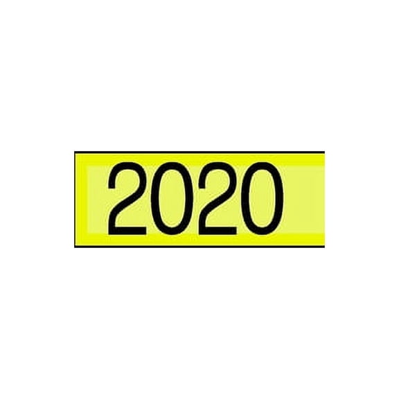 2020 (Paperback)