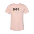thumbnail image 1 of "2020 Shirt, 2020 Review, Unisex Tee, Sublimation T, Year Review, Soft Bella Shirt, Gift For Her, Bad Review, Funny Tees, Gift For Him, 2020, Peach, LARGE", 1 of 1