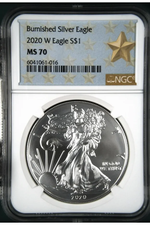 2020 W Bullion Silver Eagles NGC MS-70 Burnished Silver Eagle