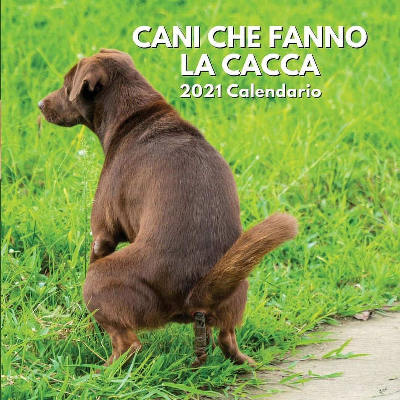 2021 Calendario Cani Che Fanno La Cacca : Cani Regalo (Paperback) 