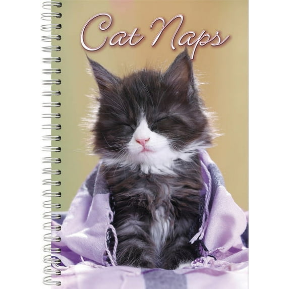 2021 Cat Naps 17-Month Weekly Planner (Other)
