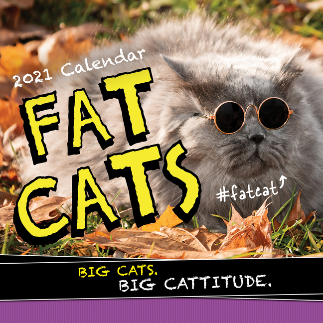 2021 Fat Cats Wall Calendar Big Cats. Big Cattitude. (Other)