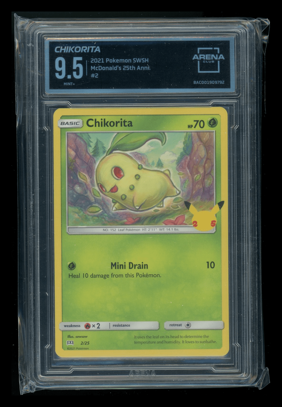 Pokemon 25th Anniversary