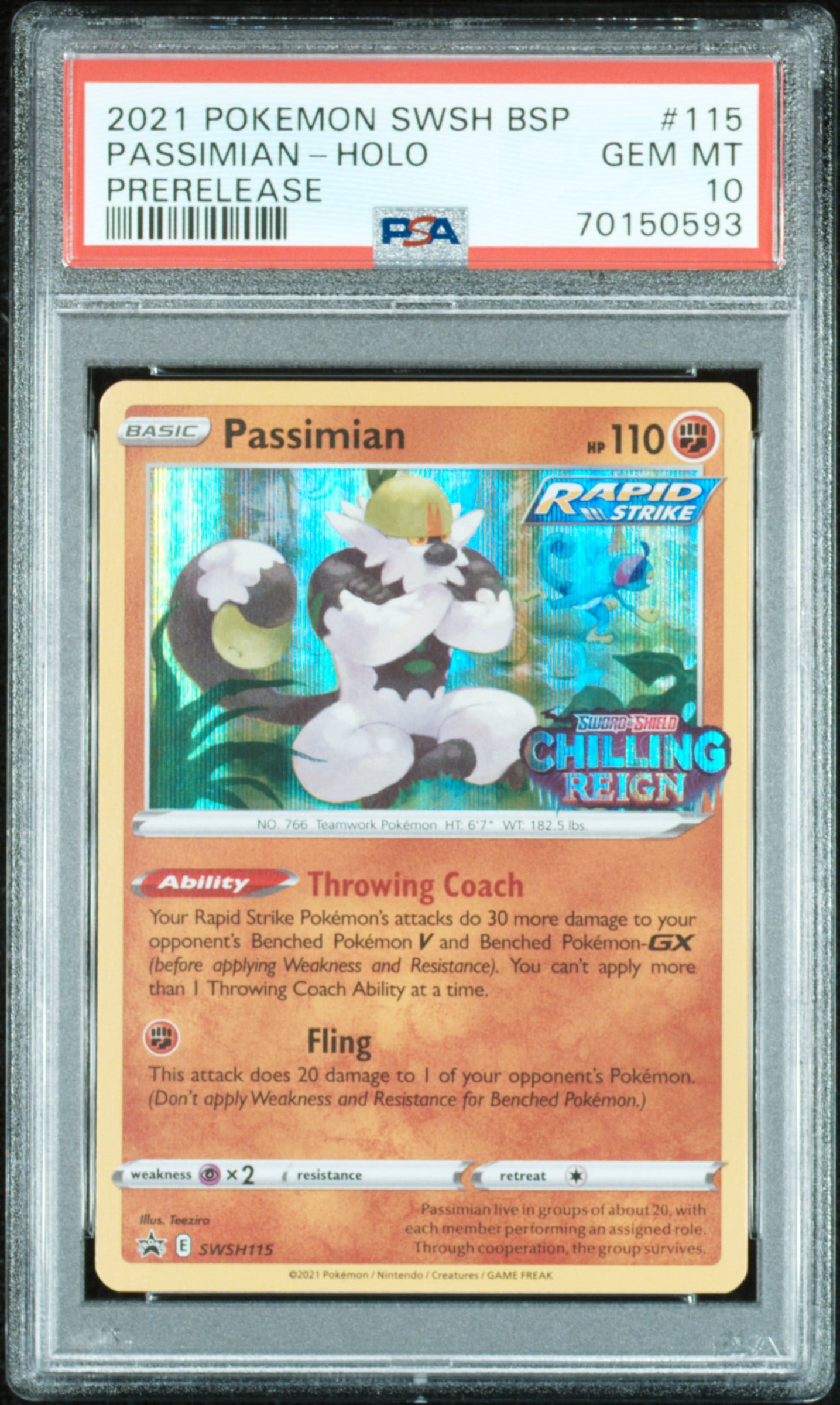 Psa 10 Pokemon