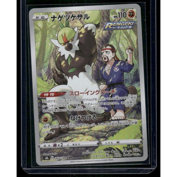 2021 Sword & Shield Silver Lance Passimian Holo Secret Rare Japanese CHR #203/184