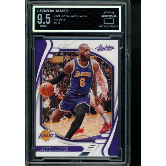 Graded 2021-22 Panini Chronicles Absolute LeBron James #217 Los Angeles Lakers Arena Club 9.5 Basketball Card