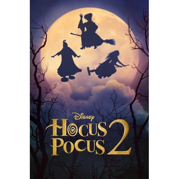 2022 Hocus Pocus 2 Movie Poster Winnie Sarah Mary Bette Midler UNFRAMED PAPER POSTER, Home Decor